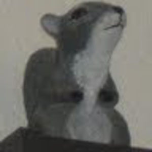 Meet your Posher, Vincent